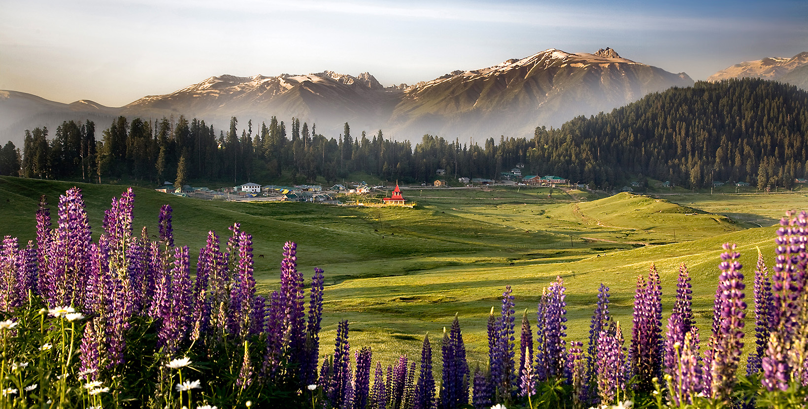 gulmarg-meadows-srinagar-tri-iter-day1